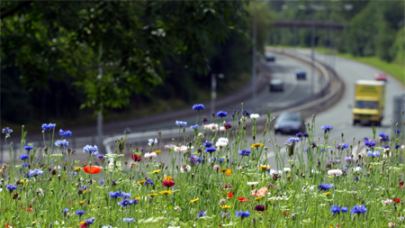 Image of busy road.